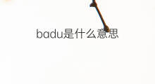 badu是什么意思 badu的中文翻译、读音、例句