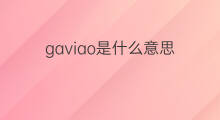 gaviao是什么意思 gaviao的中文翻译、读音、例句