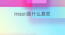 masri是什么意思 masri的中文翻译、读音、例句
