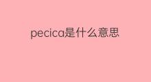 pecica是什么意思 pecica的中文翻译、读音、例句