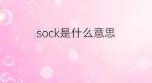 sock是什么意思 sock的中文翻译、读音、例句