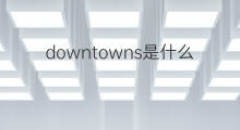 downtowns是什么意思 downtowns的中文翻译、读音、例句