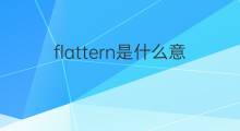 flattern是什么意思 flattern的中文翻译、读音、例句