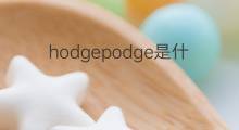 hodgepodge是什么意思 hodgepodge的翻译、读音、例句、中文解释
