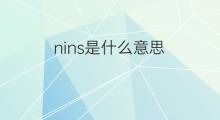 nins是什么意思 nins的翻译、读音、例句、中文解释