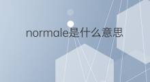 normale是什么意思 normale的中文翻译、读音、例句