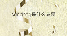 sandhog是什么意思 sandhog的中文翻译、读音、例句