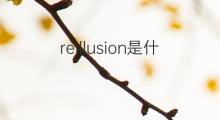 reillusion是什么意思 reillusion的中文翻译、读音、例句