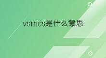 vsmcs是什么意思 vsmcs的中文翻译、读音、例句