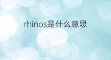 rhinos是什么意思 rhinos的中文翻译、读音、例句