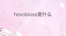 hexobiose是什么意思 hexobiose的中文翻译、读音、例句