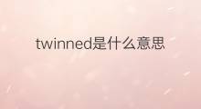 twinned是什么意思 twinned的中文翻译、读音、例句