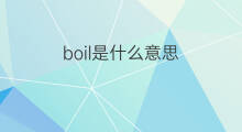 boil是什么意思 boil的中文翻译、读音、例句