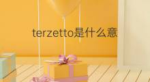 terzetto是什么意思 terzetto的中文翻译、读音、例句