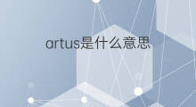 artus是什么意思 artus的翻译、读音、例句、中文解释