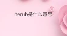 nerub是什么意思 nerub的中文翻译、读音、例句
