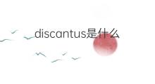 discantus是什么意思 discantus的中文翻译、读音、例句