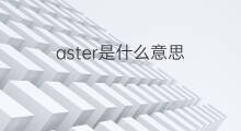 aster是什么意思 aster的中文翻译、读音、例句