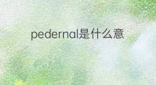 pedernal是什么意思 pedernal的中文翻译、读音、例句