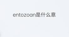 entozoan是什么意思 entozoan的中文翻译、读音、例句