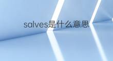salves是什么意思 salves的中文翻译、读音、例句