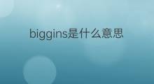 biggins是什么意思 英文名biggins的翻译、发音、来源