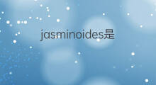 jasminoides是什么意思 jasminoides的中文翻译、读音、例句