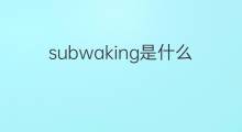 subwaking是什么意思 subwaking的中文翻译、读音、例句