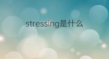 stressing是什么意思 stressing的中文翻译、读音、例句