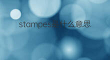 stampes是什么意思 stampes的翻译、读音、例句、中文解释