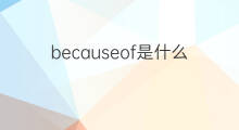 becauseof是什么意思 becauseof的中文翻译、读音、例句