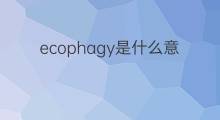 ecophagy是什么意思 ecophagy的中文翻译、读音、例句