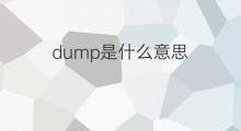 dump是什么意思 dump的中文翻译、读音、例句