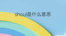 shoul是什么意思 shoul的中文翻译、读音、例句