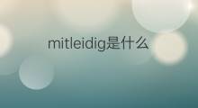 mitleidig是什么意思 mitleidig的中文翻译、读音、例句