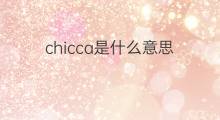 chicca是什么意思 chicca的中文翻译、读音、例句