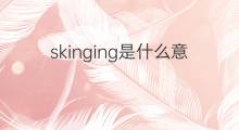 skinging是什么意思 skinging的中文翻译、读音、例句