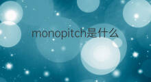 monopitch是什么意思 monopitch的中文翻译、读音、例句