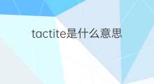 tactite是什么意思 tactite的中文翻译、读音、例句
