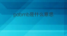 pabmb是什么意思 pabmb的中文翻译、读音、例句