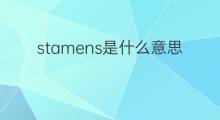 stamens是什么意思 stamens的中文翻译、读音、例句