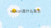 wukari是什么意思 wukari的中文翻译、读音、例句