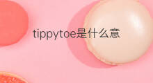 tippytoe是什么意思 tippytoe的中文翻译、读音、例句