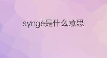 synge是什么意思 synge的中文翻译、读音、例句