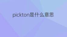 pickton是什么意思 pickton的中文翻译、读音、例句