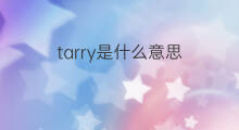 tarry是什么意思 tarry的中文翻译、读音、例句
