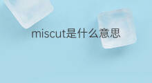 miscut是什么意思 miscut的中文翻译、读音、例句