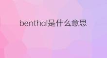 benthal是什么意思 benthal的中文翻译、读音、例句