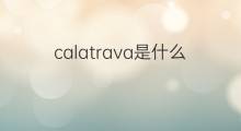 calatrava是什么意思 calatrava的中文翻译、读音、例句