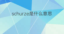 schurze是什么意思 schurze的中文翻译、读音、例句